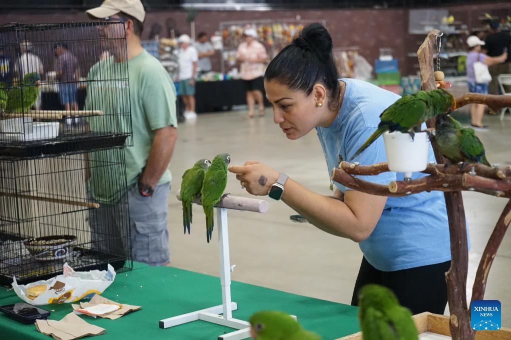 A visitor views birds during the Exotic Bird Mart & Expo in Pomona, Los Angeles County, California, the United States, Sept. 7, 2025. The event is a gathering for bird enthusiasts and lovers, offering an opportunity to explore a wide array of exotic birds and related products. (Photo: Xinhua)
