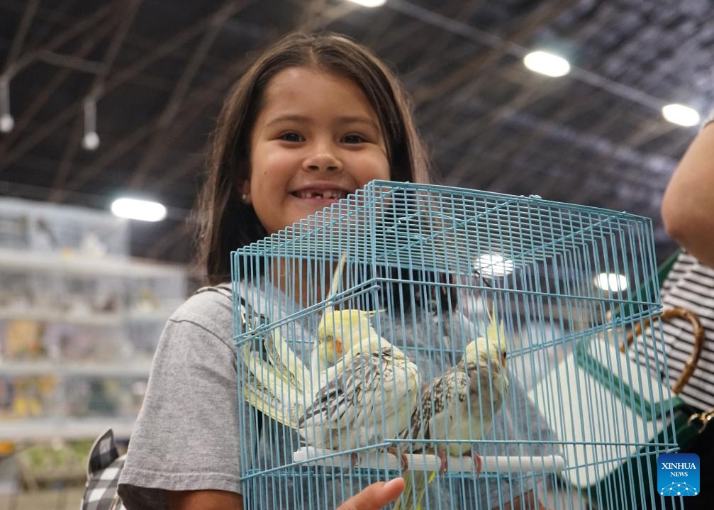 A child views birds during the Exotic Bird Mart & Expo in Pomona, Los Angeles County, California, the United States, Sept. 7, 2025. The event is a gathering for bird enthusiasts and lovers, offering an opportunity to explore a wide array of exotic birds and related products. (Photo: Xinhua)