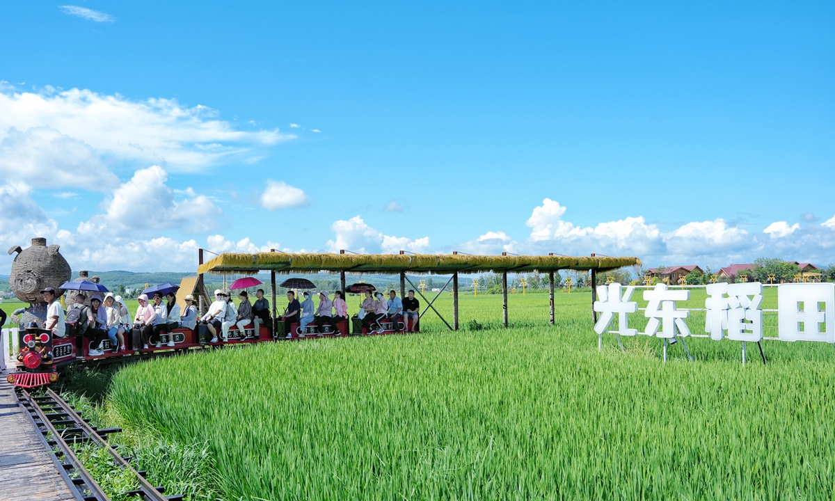 A small sightseeing train carrying tourists weaves through the rice fields of Guangdong village. Photo: Courtesy of China Rural Revitalization magazine