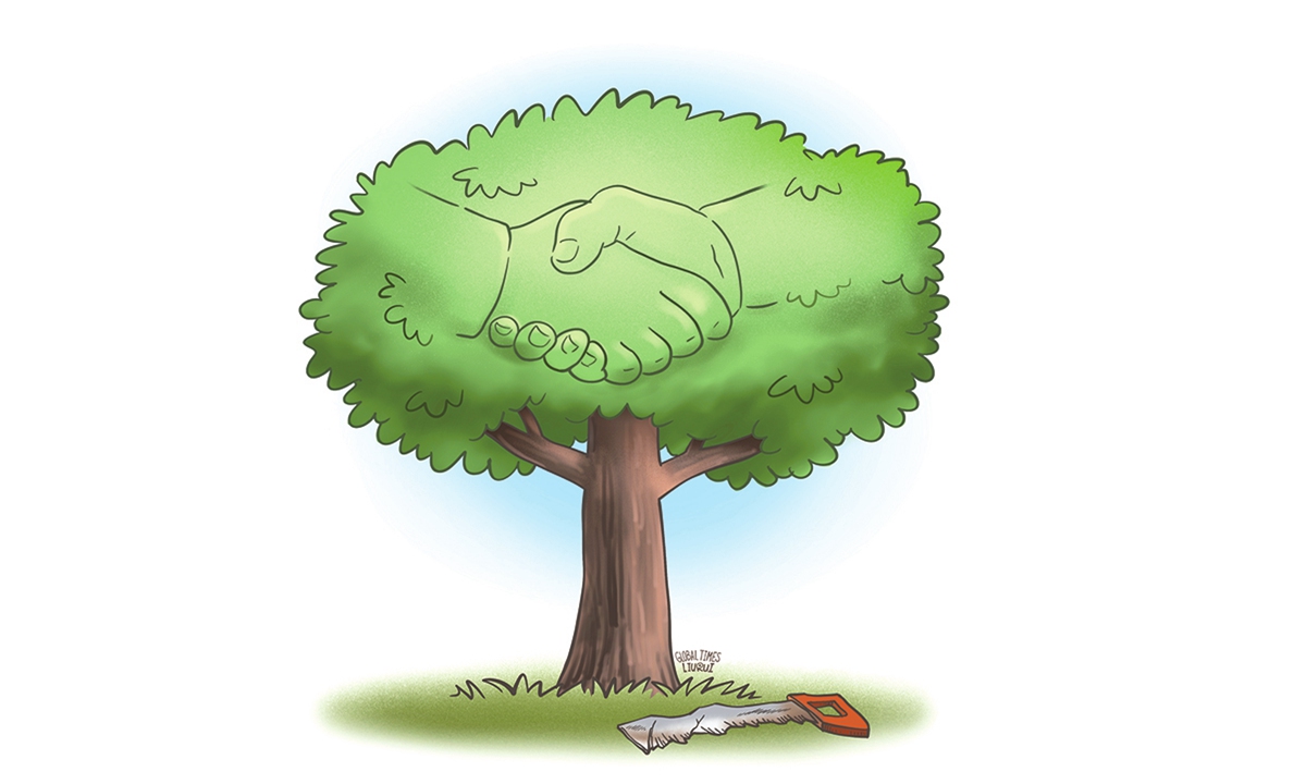 Sound China-Pacific Island cooperation won't be undermined by external noises