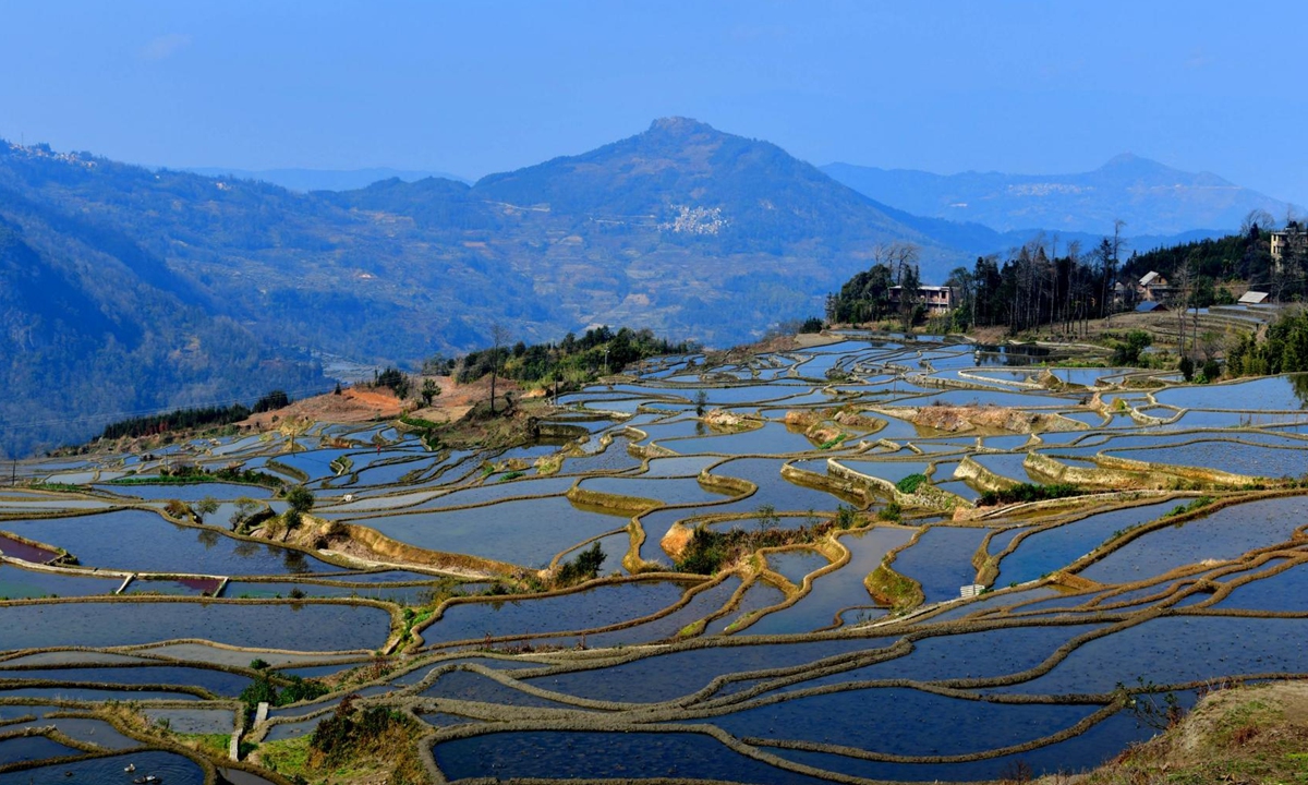 A view of the Yuanyang Hani Terraces in Southwest China's Yunnan Province Photo: Screenshot from CCTV