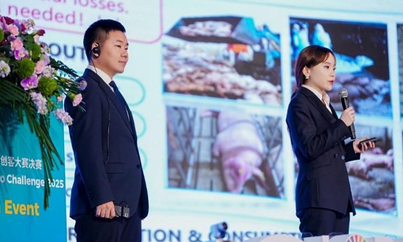 The silver prize-winning team: Swine Herd Real-time Guard Battle