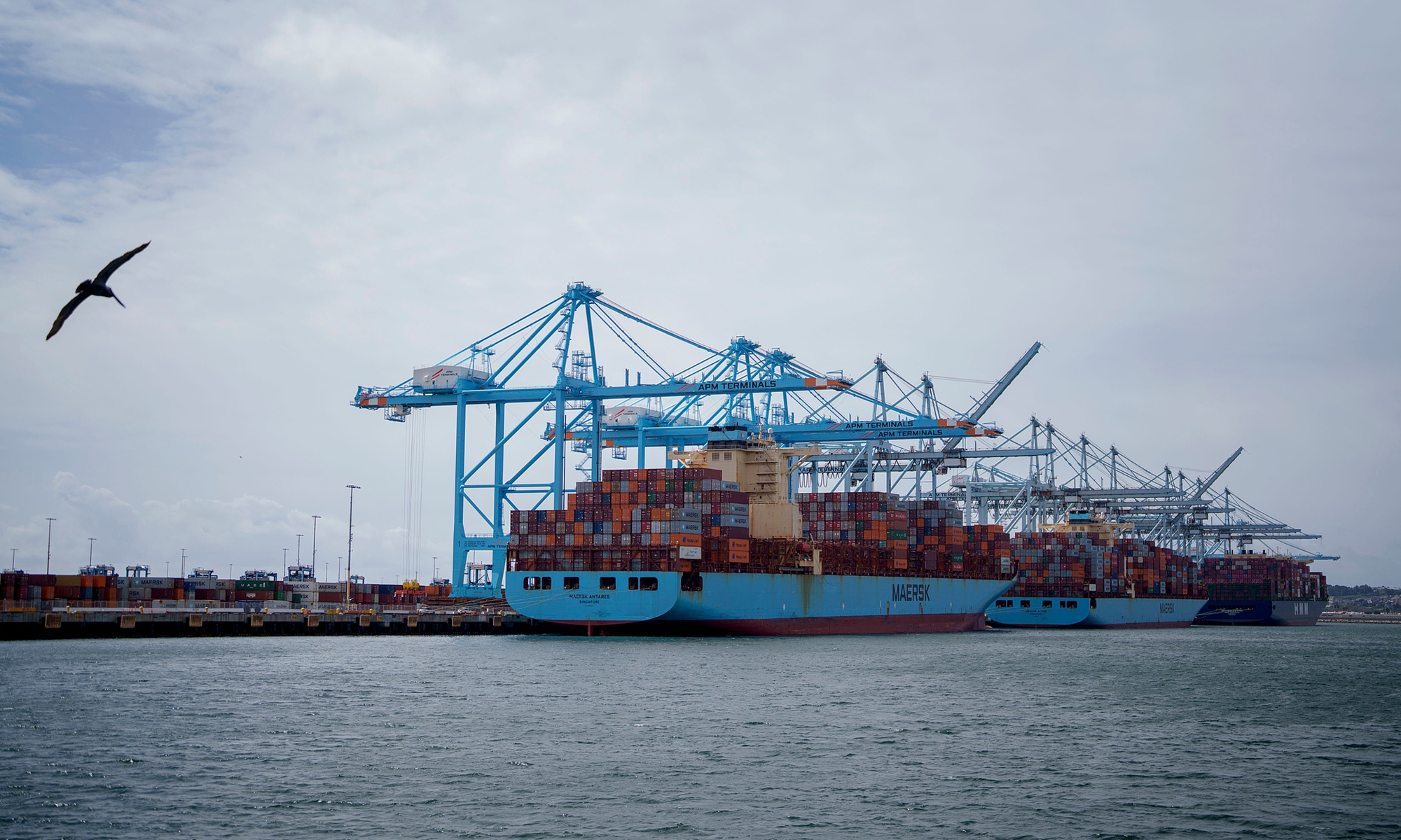 Cranes load containers onto ships at the Port of Los Angeles in Los Angeles, California, US, on Thursday, March 6, 2025.Photo:VCG