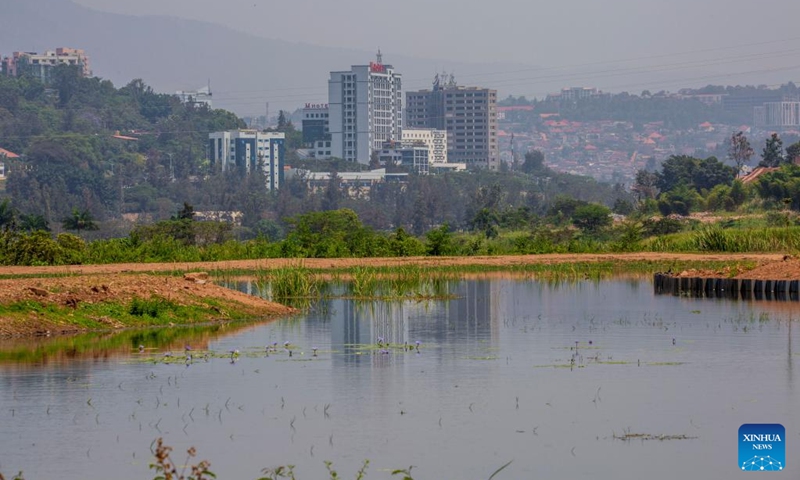 This photo shows a view of a wetland in Kigali, Rwanda, Sept. 11, 2025. Kigali has launched a wetland restoration project in March 2024 which involves five key wetlands covering an area of 491 hectares. Once completed, it will benefit more than 220,000 citizens by reducing flood risks, restoring ecosystems, improving water management, enhancing the city's landscape, and providing new recreational opportunities. (Photo: Xinhua)
