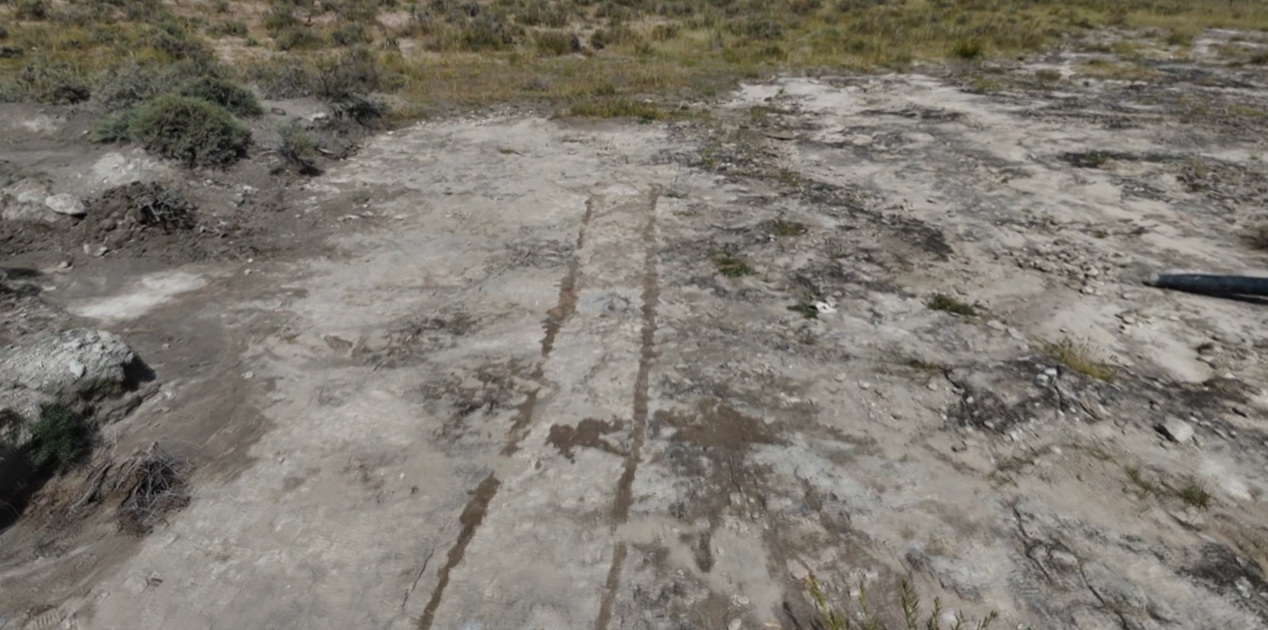 World's fastest-running medium-sized theropod #dinosaur tracks found in North China's Inner Mongolia Autonomous Region Photo: Screen from website