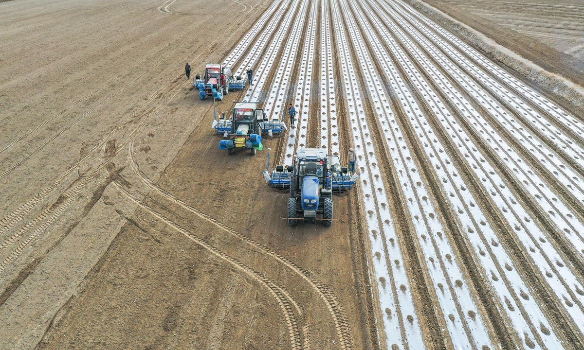 Unmanned GPS satellite navigation seeders sow cotton in Tarim township, Xinjiang. Photo: IC