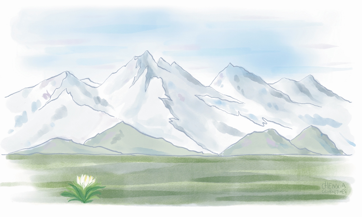 Illustration: Chen Xia/GT