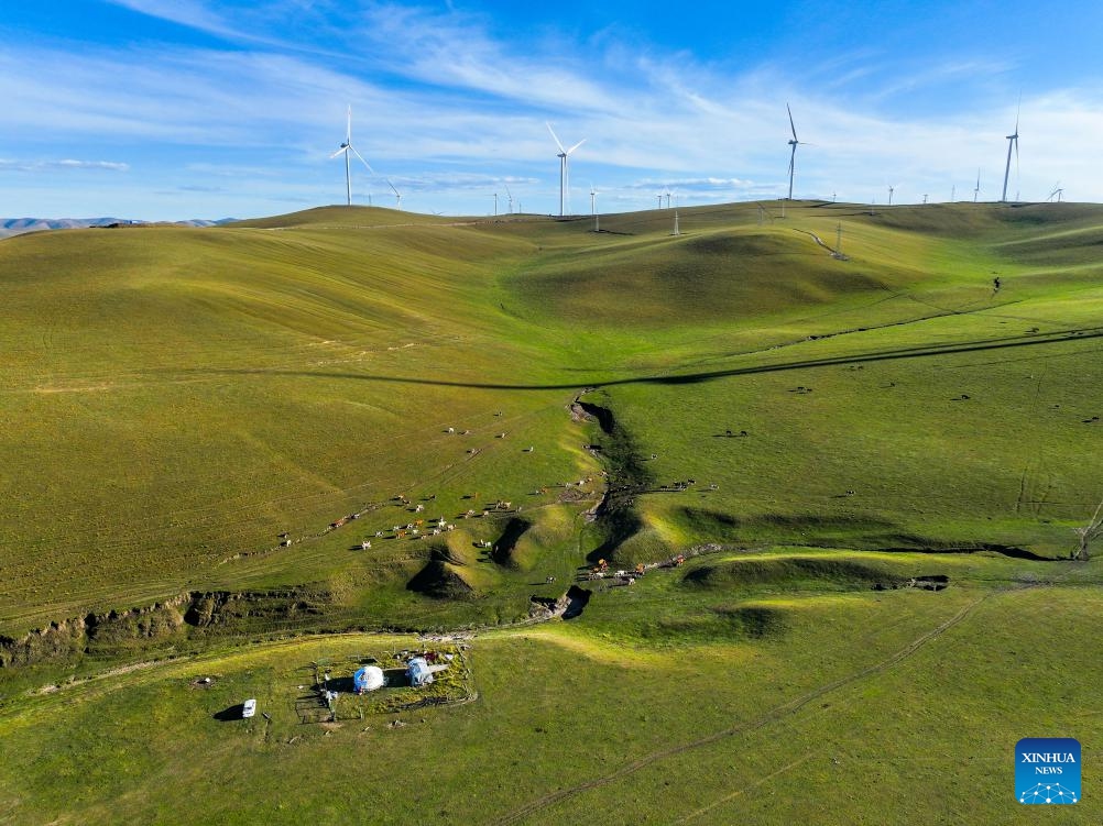 A drone photo taken on Sept. 19, 2025 shows a view of the grassland in Jarud Banner of Tongliao City, north China's Inner Mongolia Autonomous Region. (Photo: Xinhua)