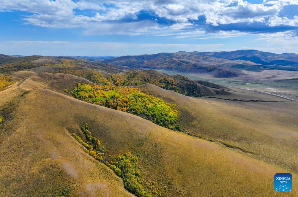 An aerial drone photo taken on Sept. 20, 2025 shows the autumn scenery of the Hanshan Mountain in Jarud Banner, Tongliao City of north China's Inner Mongolia Autonomous Region. Located in Jarud Banner of north China's Inner Mongolia Autonomous Region, the Hanshan Mountain national nature reserve was set up in 2013. Sitting in the south of the Greater Khingan Mountains, it serves as an ecological shelter and a water conservation area for the Horqin Grasslands. (Photo: Xinhua)