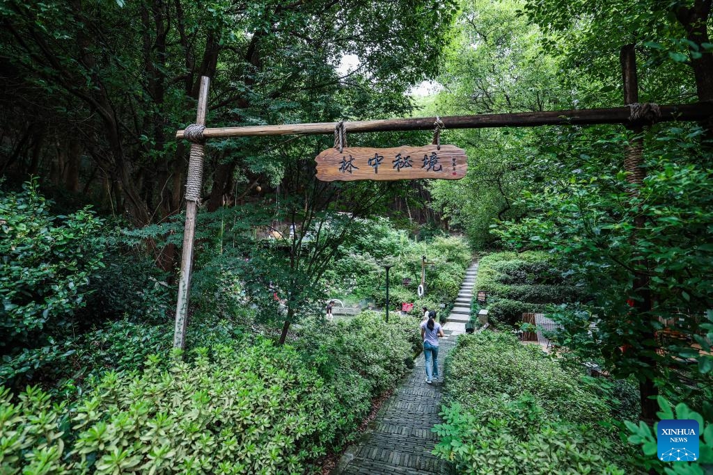 Tourists enjoy themselves at a rural scenic spot in Haiyan County of Jiaxing City, east China's Zhejiang Province, on Sept. 20, 2025. Shendang Town has been developing a distinctive cultural and tourism route with its own features, making the town a highly sought-after tourist destination in the Yangtze River Delta region since 2024. It has integrated its most distinctive culture, intangible cultural heritages, landmarks, and surrounding cultural tourism projects with the characteristics of the town, offering visitors exceptional cultural and tourism experiences. (Photo: Xinhua)