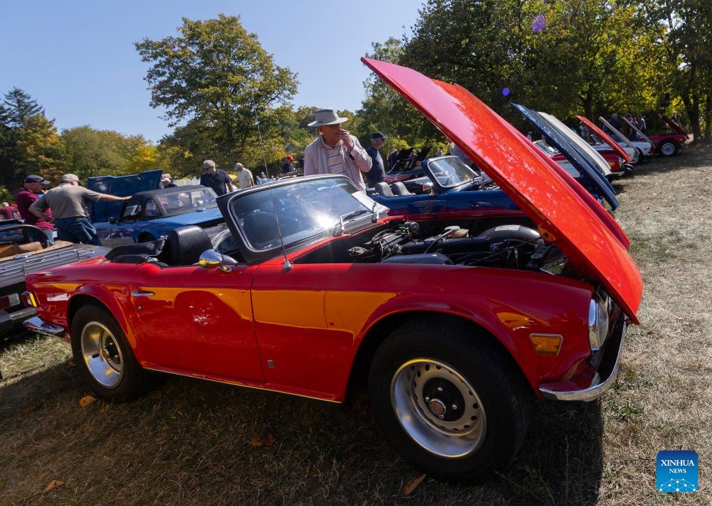 People visit the 40th British Car Day event in Oakville, Ontario, Canada, Sept. 21, 2025. As one of the largest events of its kind in North America, the annual event was held here on Sunday with more than 1,000 British cars. (Photo: Xinhua)