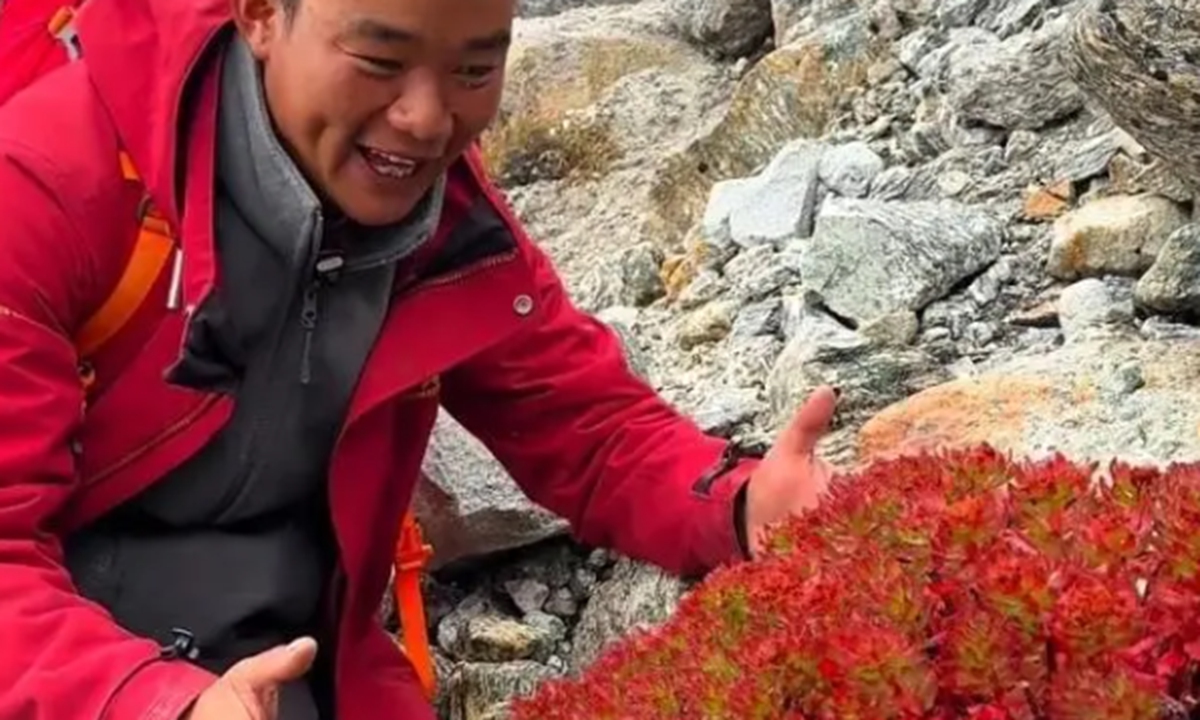 A ocial media account named 