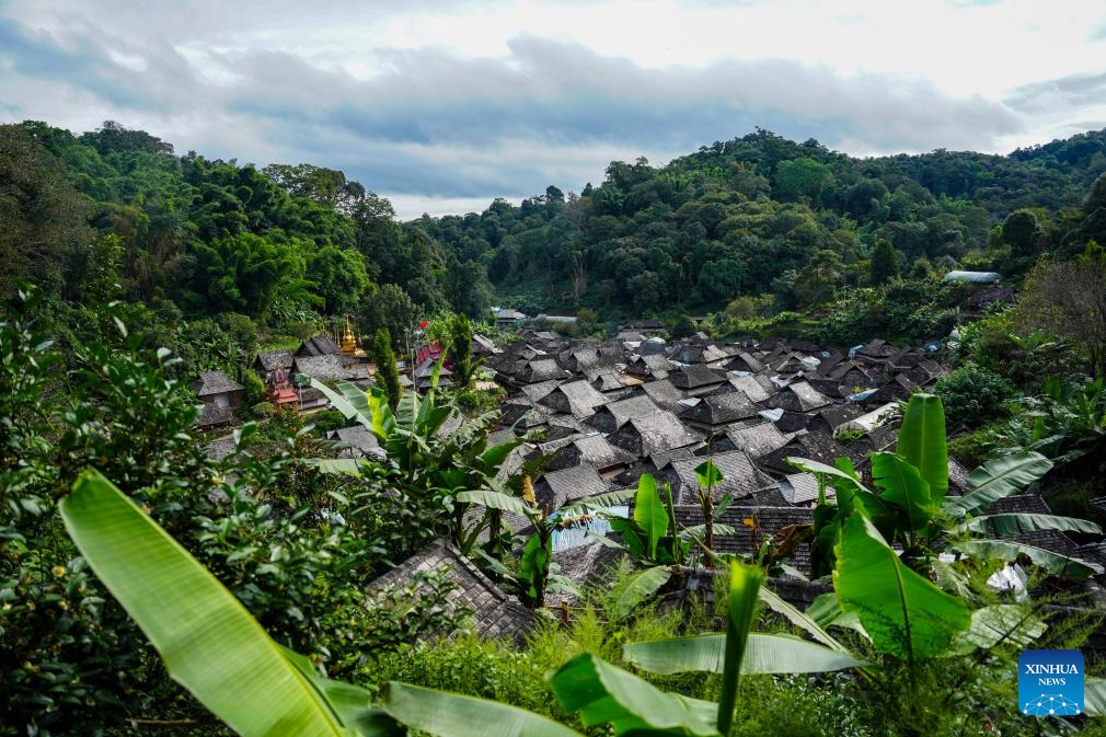 This photo taken on Sept. 27, 2025 shows a traditional village surrounded by forests and tea gardens of the Jingmai Mountain in Pu'er City, southwest China's Yunnan Province. As the world's first tea-themed cultural heritage site, the Cultural Landscape of Old Tea Forests of Jingmai Mountain in Pu'er is witnessing a peak in visits in the autumn day. (Photo: Xinhua)