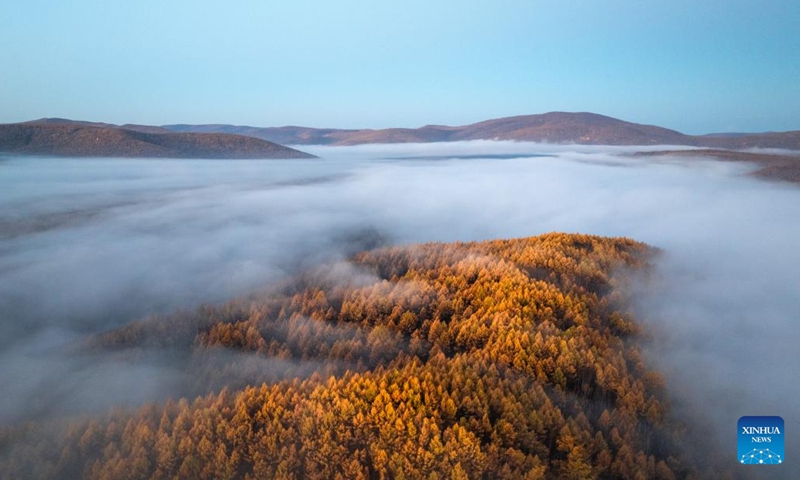 A drone photo taken on Sept. 29, 2025 shows the autumn scenery of the Arxan National Forest Park in Arxan of Hinggan League, north China's Inner Mongolia Autonomous Region. Photo: Xinhua