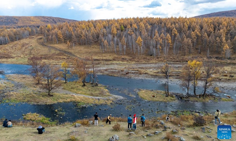 A drone photo taken on Sept. 29, 2025 shows tourists enjoying the autumn scenery of the Arxan National Forest Park in Arxan of Hinggan League, north China's Inner Mongolia Autonomous Region. Photo: Xinhua