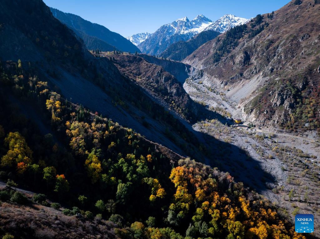An aerial photo taken on Oct. 4, 2025 shows the autumn scenery of the Issyk gorge in Almaty Region, Kazakhstan. The Issyk gorge and Issyk lake, located in Almaty Region, Kazakhstan, are famous tourist destinations. The beautiful lake, majestic snow-capped mountains and gorge, and vibrant foliage collectively paint an idyllic autumn landscape here. (Xinhua/Li Renzi)

