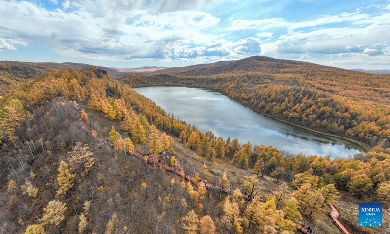 An aerial drone photo taken on Sept. 29, 2025 shows the autumn scenery of the Arxan National Forest Park in Arxan of Hinggan League, north China's Inner Mongolia Autonomous Region. Photo: Xinhua
