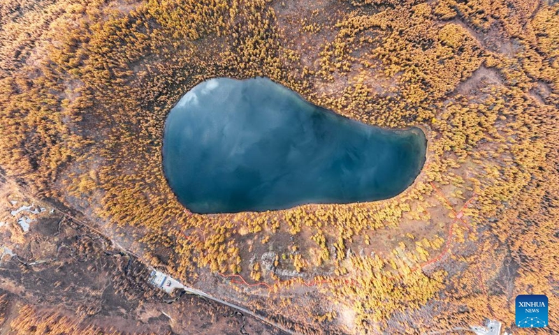 An aerial drone photo taken on Sept. 29, 2025 shows the autumn scenery of the Arxan National Forest Park in Arxan of Hinggan League, north China's Inner Mongolia Autonomous Region. Photo: Xinhua