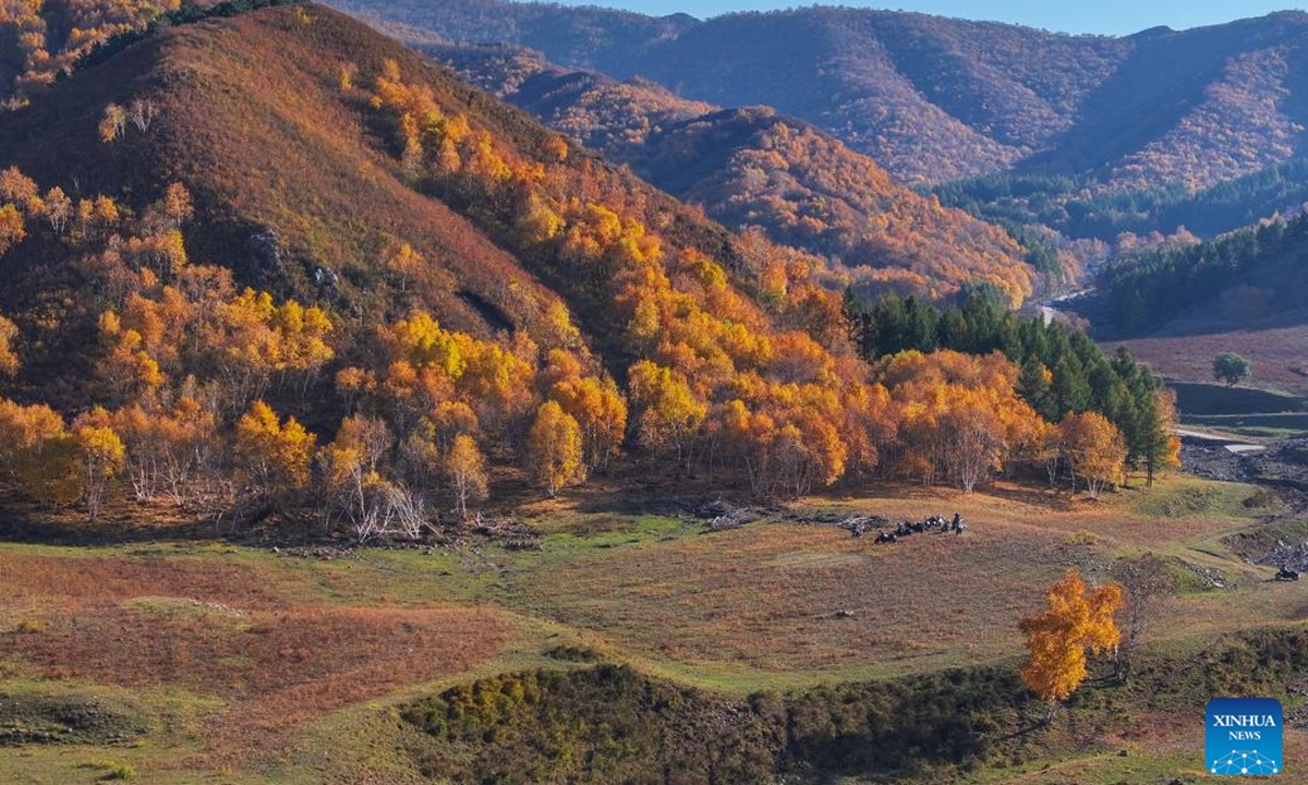 An aerial drone photo taken on Oct. 2, 2025 shows the autumn scenery of Daqingshan National Nature Reserve in Hohhot, north China's Inner Mongolia Autonomous Region. (Xinhua/Lian Zhen)