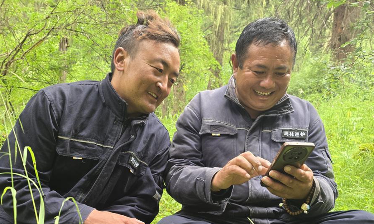 Rangers browse photos of wildlife taken on a mobile phone in the Markog River forest in Padma County, Golog Tibetan Autonomous Prefecture of northwest China's Qinghai Province, Aug. 7, 2025. (Xinhua/Li Linhai)
