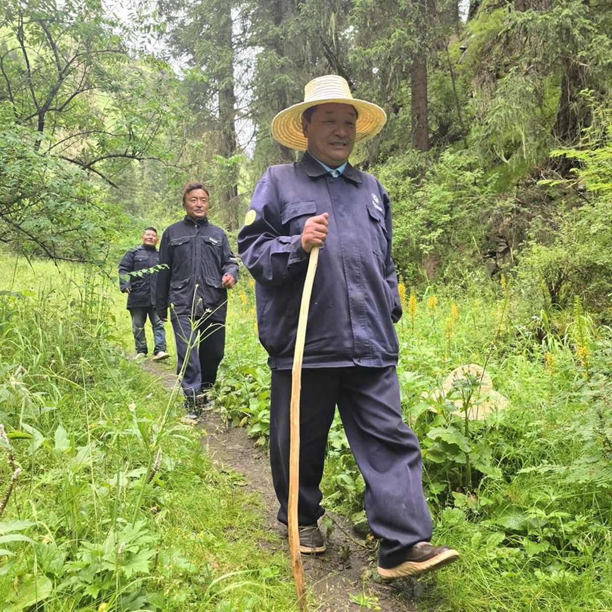 Rangers conduct routine patrols in the Markog River forest in Padma County, Golog Tibetan Autonomous Prefecture of northwest China's Qinghai Province, Aug. 7, 2025. (Xinhua/Li Linhai)

