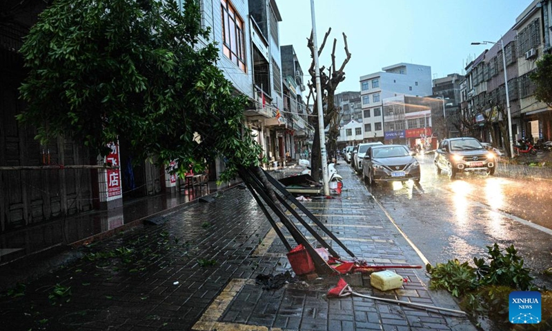 A tree pushed over by strong wind during typhoon Matmo is pictured by a street in Wenchang, south China's Hainan Province, Oct. 5, 2025. Typhoon Matmo, the 21st named storm of the 2025 Pacific typhoon season, made landfall along the eastern coast of Xuwen County, Zhanjiang City in south China's Guangdong Province around 2:50 p.m. on Sunday, according to Guangdong's meteorological service. Heavily affected by Matmo, many parts of Hainan Island, which sits to the south of Guangdong, still suffer from strong wind and rainfall late on Sunday. Photo: Xinhua