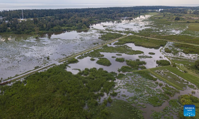 An aerial drone photo taken on Oct. 3, 2025 shows a view of the Haiwei National Wetland Park in Changjiang Li Autonomous County, south China's Hainan Province. Following ecological restoration and facility construction, Haiwei National Wetland Park has recently reopened to the public. The park serves as a crucial habitat for migratory birds.
In recent years, with strengthened protection and monitoring efforts, the park has recorded 213 bird species. Photo: Xinhua