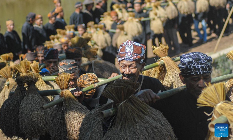 This photo taken on Oct. 5, 2025 shows people carrying harvested paddy during the Seren Taun festival in Sukabumi regency of West Java, Indonesia. Seren Taun is a traditional festival for local people to celebrate paddy harvest and express gratitude. (Photo by Rangga Firmansyah/Xinhua)

