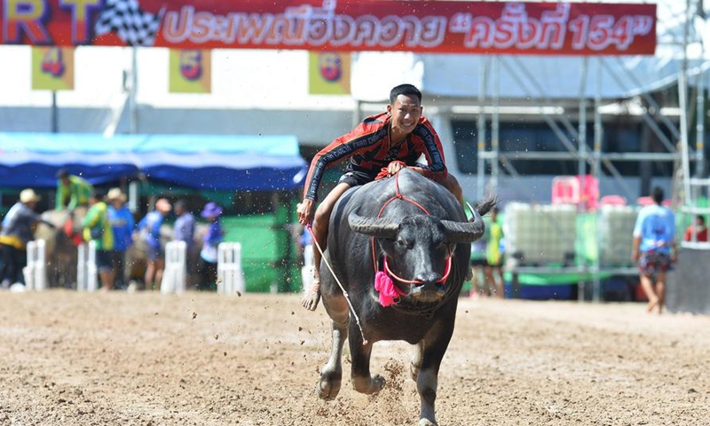 A racer competes during a buffalo racing in Chonburi, Thailand, Oct. 6, 2025. (Xinhua/Rachen Sageamsak)