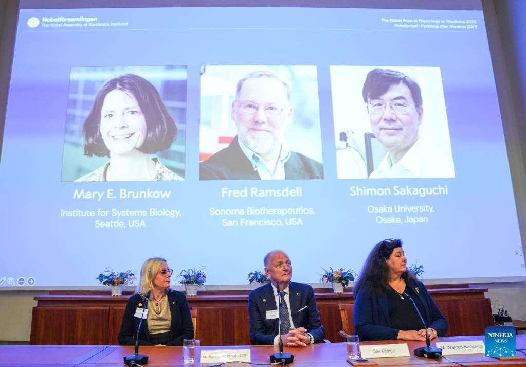 Portraits of the 2025 Nobel Prize in Physiology or Medicine laureates Mary E. Brunkow (L), Fred Ramsdell (C) and Shimon Sakaguchi are shown on a screen during the announcement of the prize at the Karolinska Institute in Stockholm, Sweden, on Oct. 6, 2025. Mary E. Brunkow, Fred Ramsdell, and Shimon Sakaguchi were awarded the 2025 Nobel Prize in Physiology or Medicine on Monday for their discoveries concerning peripheral immune tolerance, the Nobel Assembly at Sweden's Karolinska Institute announced. (Photo: Xinhua)