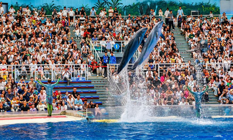Tourists enjoy performance at an ocean park in north China's Tianjin, Oct. 4, 2025. (Photo by Du Penghui/Xinhua)