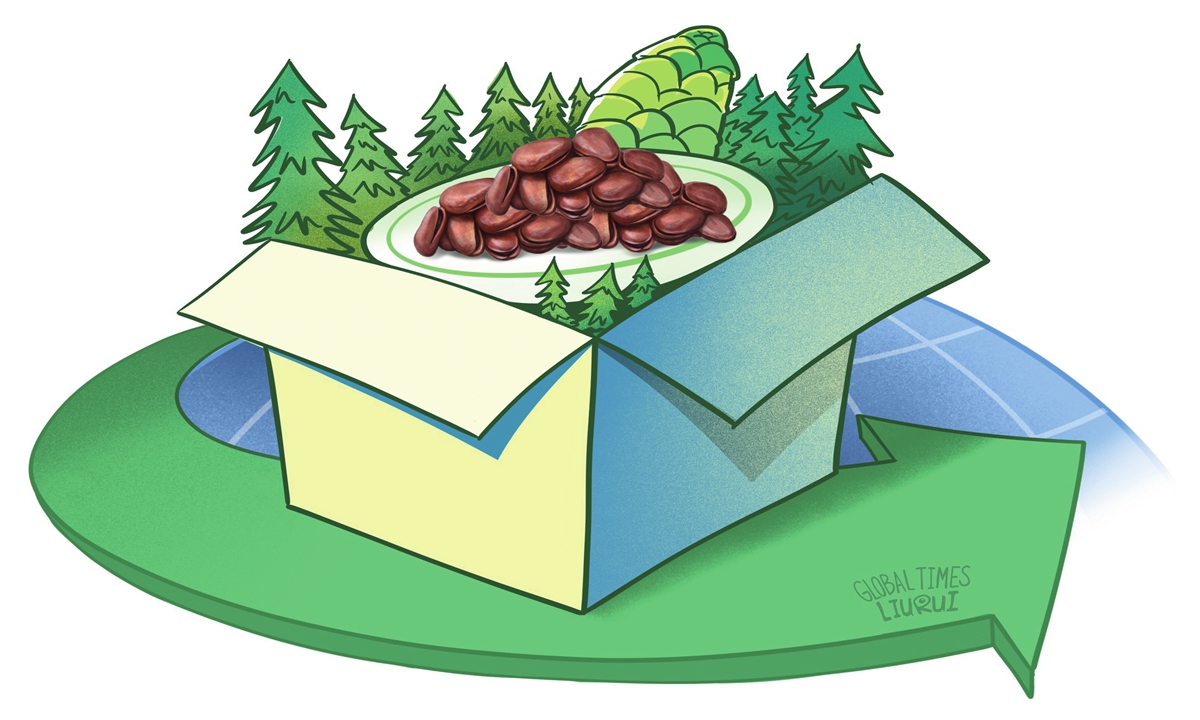 Illustration: Liu Rui/GT