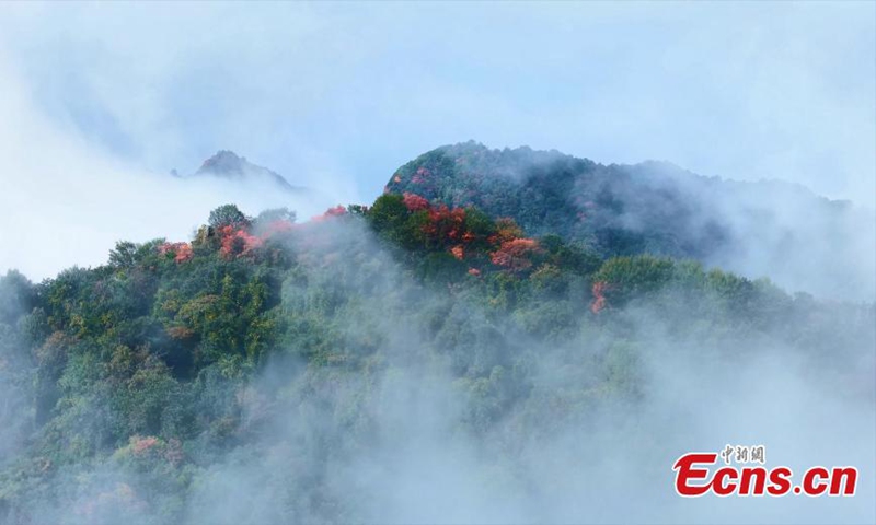 Photo taken on Oct. 9, 2025 shows the picturesque landscape of the Cuihua Mountain of the Qinling Mountains in Xi'an, northwest China's Shaanxi Province. (Photo provided to China News Service)

