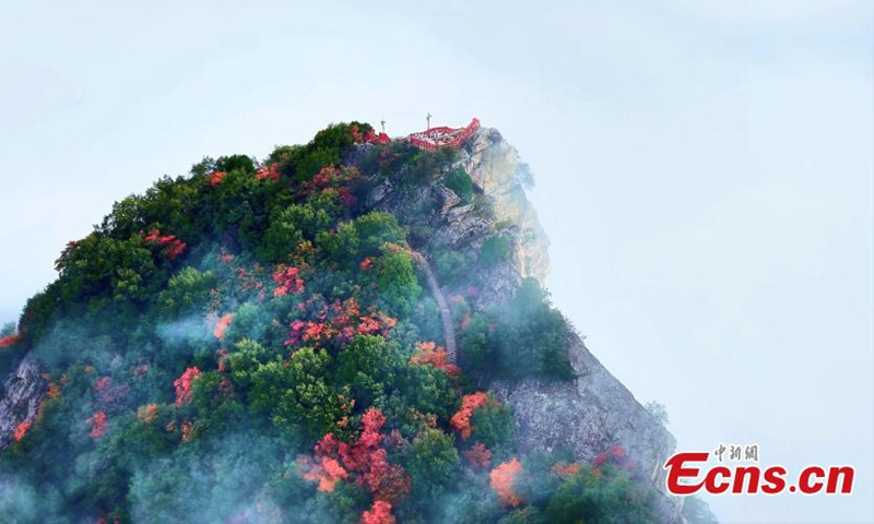 Photo taken on Oct. 9, 2025 shows the picturesque landscape of the Cuihua Mountain of the Qinling Mountains in Xi'an, northwest China's Shaanxi Province. (Photo provided to China News Service)

