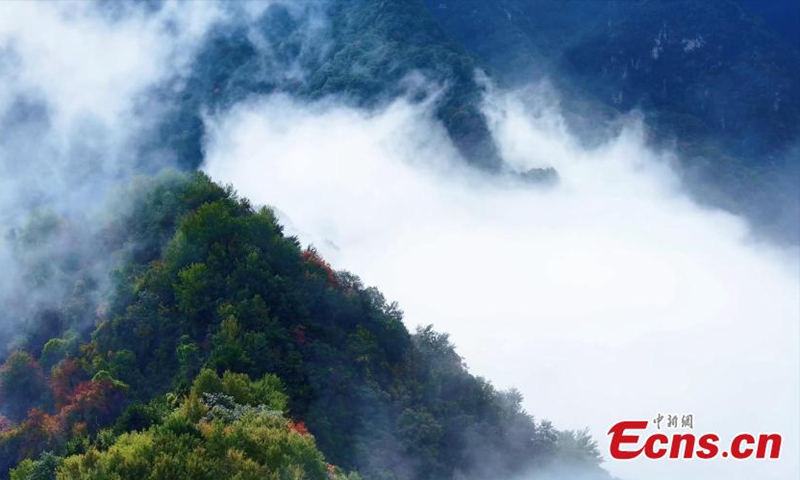 Photo taken on Oct. 9, 2025 shows the picturesque landscape of the Cuihua Mountain of the Qinling Mountains in Xi'an, northwest China's Shaanxi Province. (Photo provided to China News Service)

