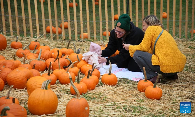 A woman helps a baby pose for a photo with pumpkins during a pumpkin patch at Queens County Farm Museum in New York, the United States, on Oct. 11, 2025. The pumpkin patch hosted by Queens County Farm Museum attracts many visitors to celebrate autumn and prepare for upcoming Halloween. (Photo: Xinhua)