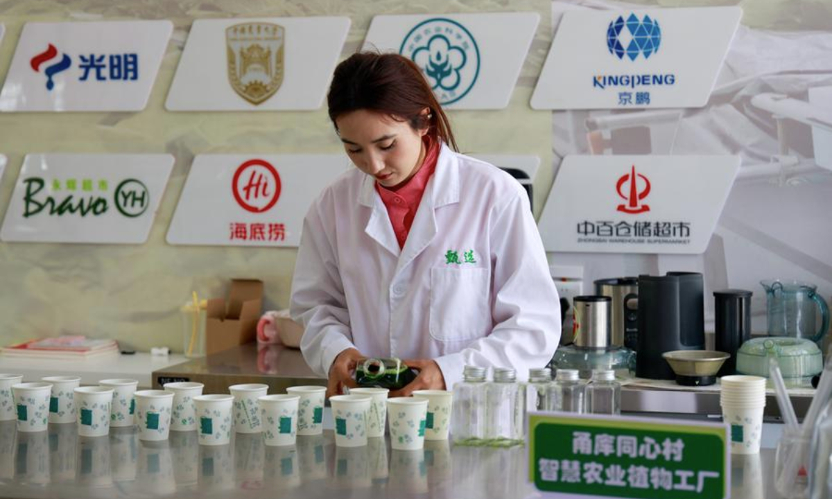 A staff member prepares vegetable juice for visitors at a factory-styled smart farm in Kuqa City, Aksu Prefecture, northwest China's Xinjiang Uygur Autonomous Region, Aug. 13, 2025. The factory-styled smart farm in Kuqa City stands as a flagship project of paired assistance program financed by Ningbo City in east China's Zhejiang Province. (Xinhua/Liu Jiaqi)