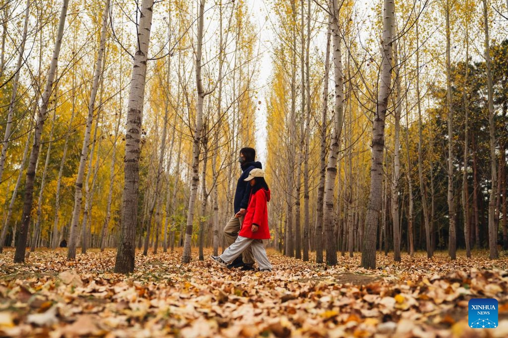 Tourists enjoy the autumn scenery in the Changchun Botanical Garden in Changchun, northeast China's Jilin Province, on Oct. 12, 2025. (Photo: Xinhua)