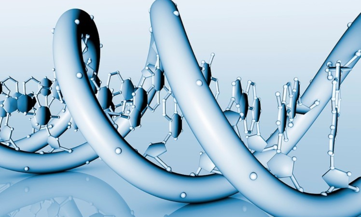 Base pairs on DNA molecule   Illustration: VCG