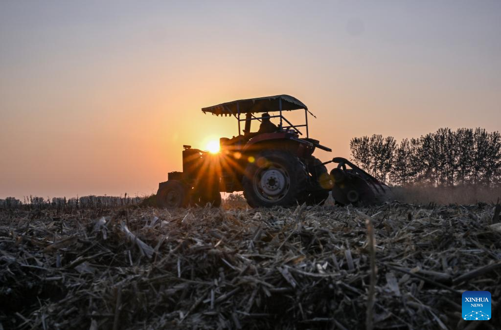 A farmer operates an agricultural machine in the field in Huiting Town of Xiayi County, Shangqiu City, central China's Henan Province, Oct. 22, 2025. (Photo by Wang Gaochao/Xinhua)