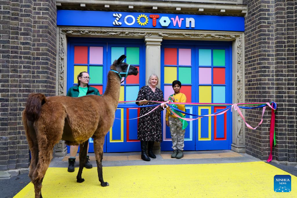 Aneeshwar Kunchala, 10-year-old conservationist and Mayor of ZooTown, attends the opening ceremony of ZooTown at London Zoo in London, Oct. 15, 2025.
Opening to the public on Oct. 18, the ZooTown features multiple themed role-play stations where children can try their hands at working for wildlife, including preparing meals for animals in the Keeper Kitchen, fighting germs in the science lab or tracking wild animals in the field conservation station. (Xinhua)