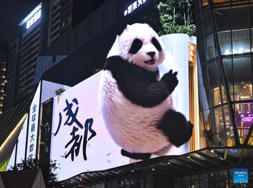 This photo taken on Oct. 14, 2025 shows a glasses-free 3D panda along a street in Chengdu, southwest China's Sichuan Province. The glasses-free 3D pandas here have won the hearts of both residents and tourists since its debut in 2024, becoming a must-visit spot in the city. (Xinhua/Liu Kun)