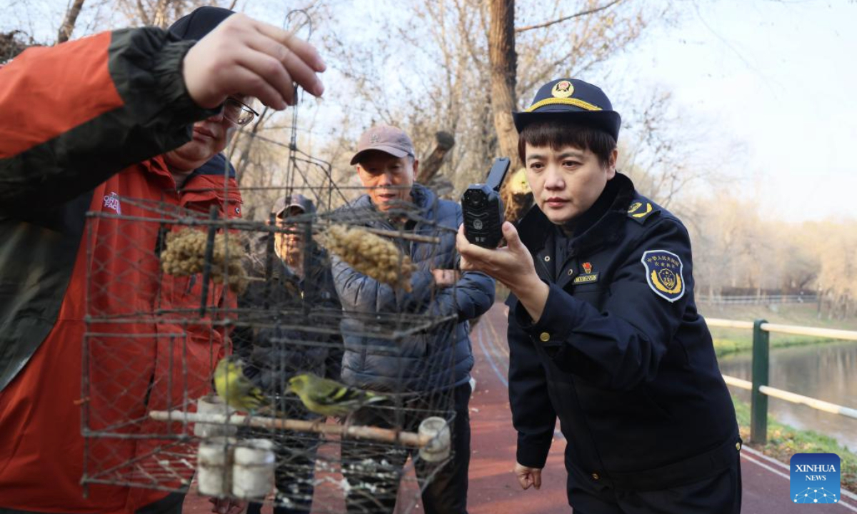 Volunteers assist a law enforcement officer in documenting evidence of illegal captured birds in Harbin, northeast China's Heilongjiang Province, Oct. 27, 2024. Composed of more than 60 members, a Harbin wildlife conservation volunteer team has long been dedicated to ecological protection in the Songhua River basin.
Over the past seven years, the team has patrolled approximately 30,000 kilometers and reported nearly 100 clues on illegal poaching to relevant authorities. (Photo by Zhang Shu/Xinhua)