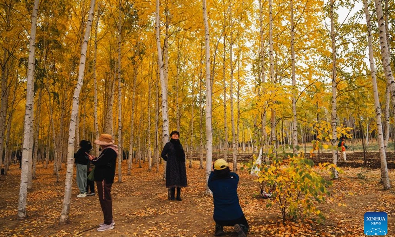 Tourists take photos in the Changchun Botanical Garden in Changchun, northeast China's Jilin Province, on Oct. 12, 2025. (Photo: Xinhua)