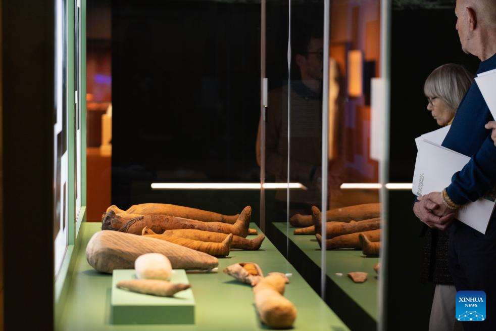 Visitors view animal mummies during a media preview of the exhibition Discovering Ancient Egypt at the Rijksmuseum van Oudheden in Leiden, the Netherlands, Oct. 15, 2025. The exhibition, opening to the public on Thursday, showcases the life of ancient Egypt through 500 carefully curated artifacts. It will run until March 15, 2026. (Photo by Sylvia Lederer/Xinhua)