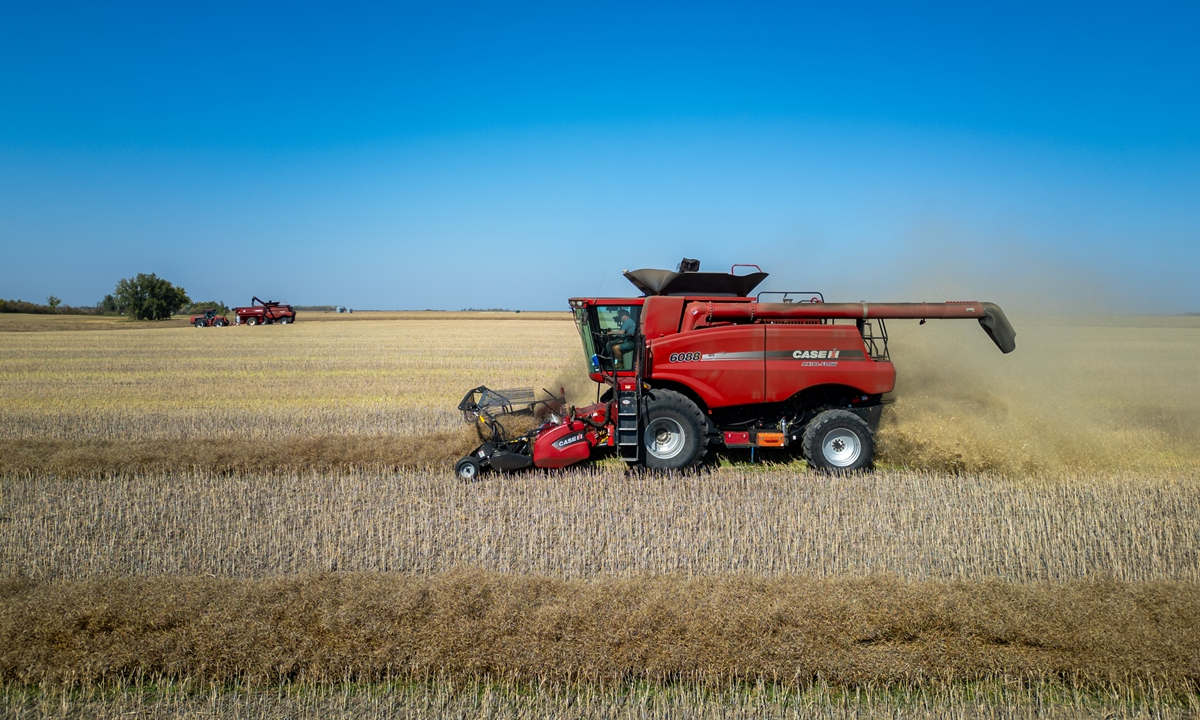 A combine harvester on a field during a canola harvest near Regina, Saskatchewan, Canada, on September 21, 2025. Photo: VCG