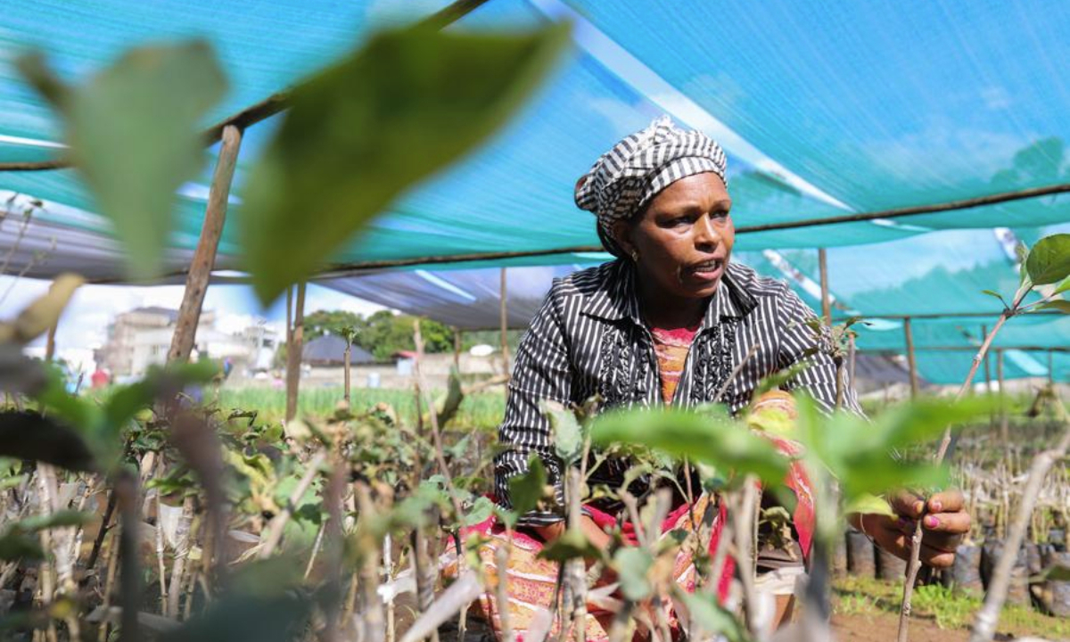 A woman works at an urban agricultural demonstration center in Addis Ababa, the capital of Ethiopia, on Aug. 29, 2025. (Xinhua/Michael Tewelde)
