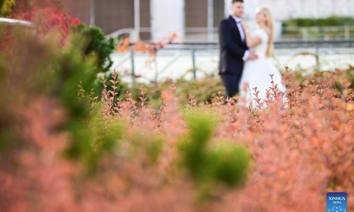 A couple takes wedding photos at the rooftop garden of the University of Warsaw in Warsaw, Poland on Oct. 13, 2025. In recent days, the garden's vegetation has taken on autumn colors, attracting many visitors. (Photo by Aleksy Witwicki/Xinhua)