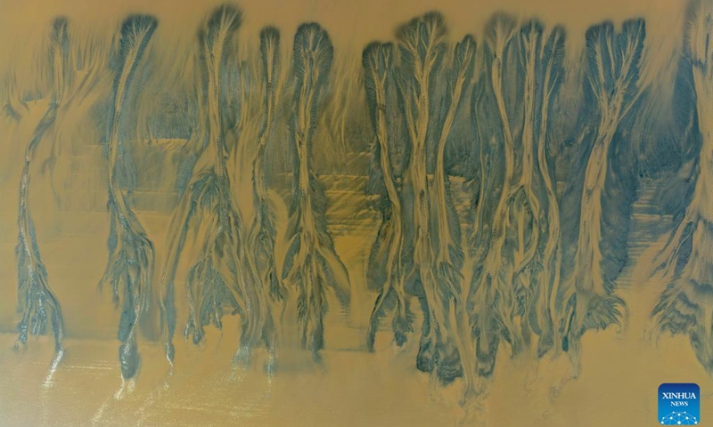 An aerial drone photo taken on Oct. 11, 2025 shows a view of the tidal flat after the tidal bore of Qiantang River receded, in Haining City, east China's Zhejiang Province. The Qiantang River tidal bore, famous for its height and speed, is a traditional tourist attraction in Zhejiang Province. Every year, soaring waves crash along the banks of the river, near the city of Haining. After the ebb of the tide, different tree-shaped patterns appear on the tidal flat. (Photo: Xinhua)