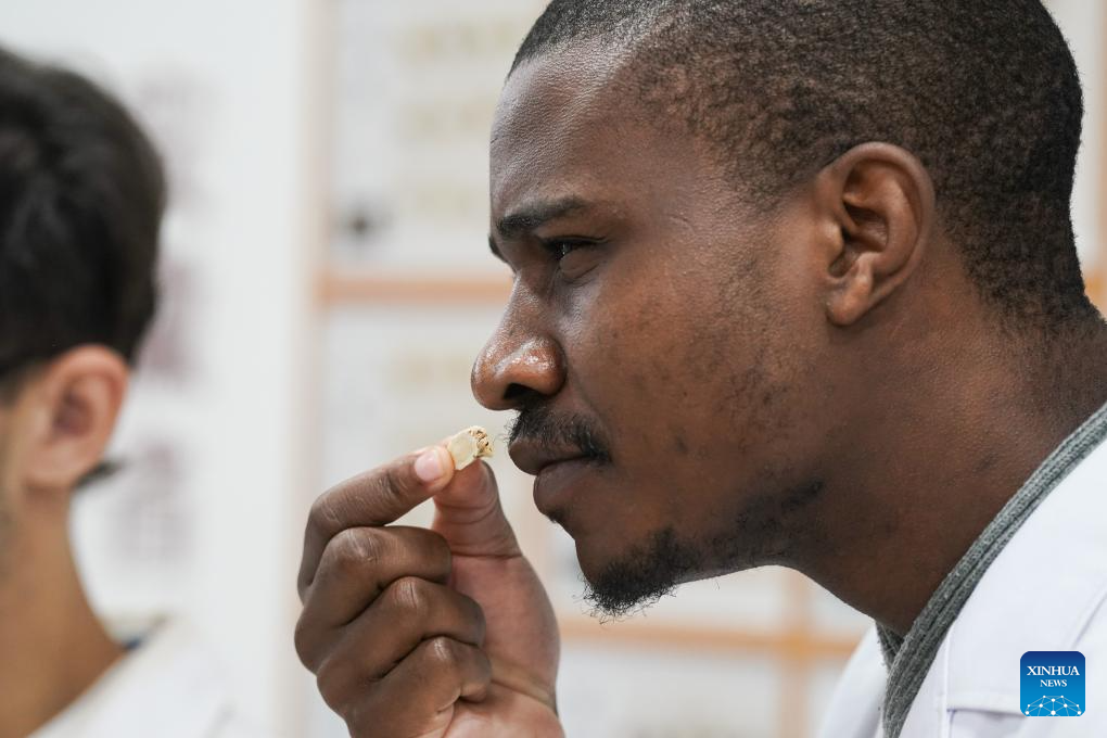 Juru Richmore, an international student from Zimbabwe, learns to identify the scent of traditional Chinese herb Huangqi, or Astragalus root, at Anhui University of Chinese Medicine in Hefei, east China's Anhui Province, Oct. 16, 2025. More than 140 students from around the world are systematically learning traditional Chinese medicine (TCM) theory at the School of Humanities and International Education Exchange at Anhui University of Chinese Medicine. The school provides bilingual courses combining TCM theories and clinical practice for international students. Meanwhile, various cultural activities have been organized for them to enhance their understanding of TCM.

So far, some graduates have returned to their home countries and are working in local healthcare services. (Xinhua/Du Yu)